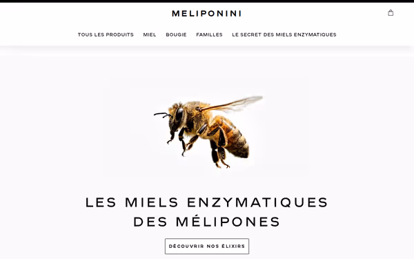 Meliponini E-Commerce